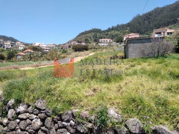 Lote de Terreno - Ribeira Brava