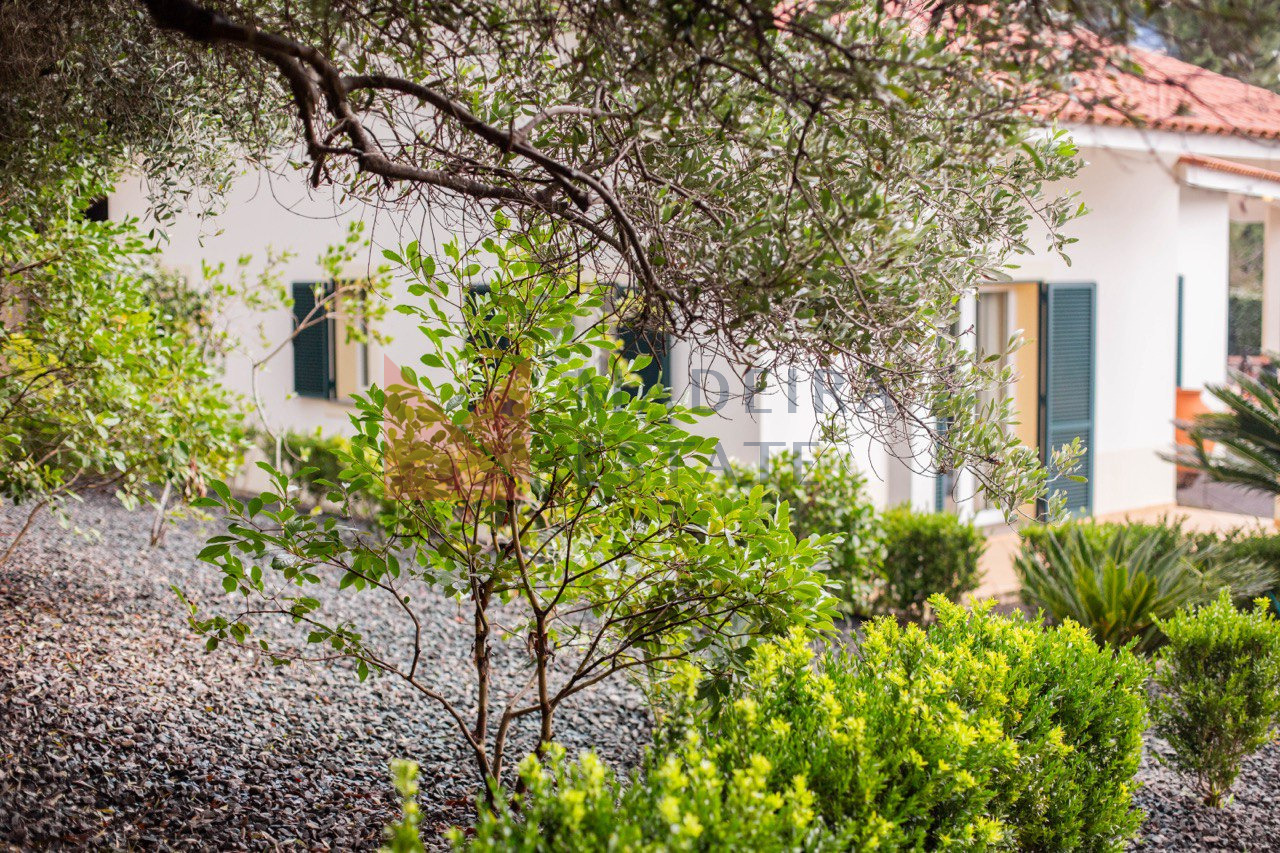 Beautiful garden in a luxury villa for rent in Madeira