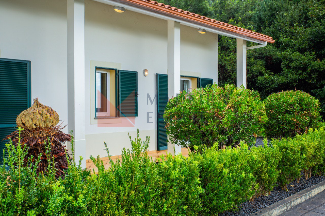 Expansive grounds surrounding a luxury villa for rent in Madeira