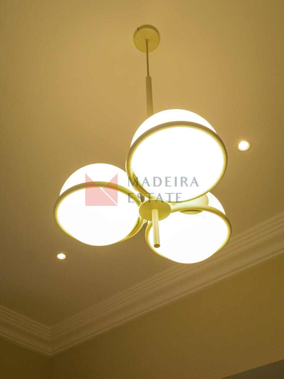 Villa Palheiro29 Exclusive Villa on Madeira Island
